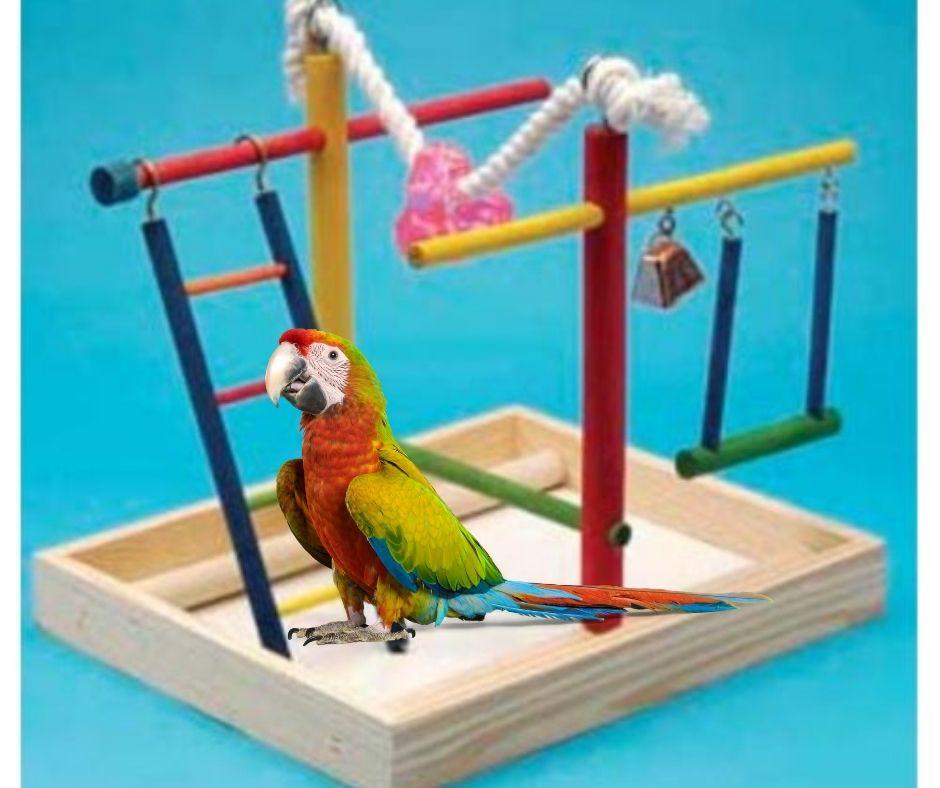 Gimnasio para Periquitos y Agapornis - Luna y Copito