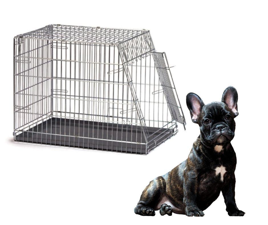 Jaula Plegable para Perros Arquivet - Luna y Copito