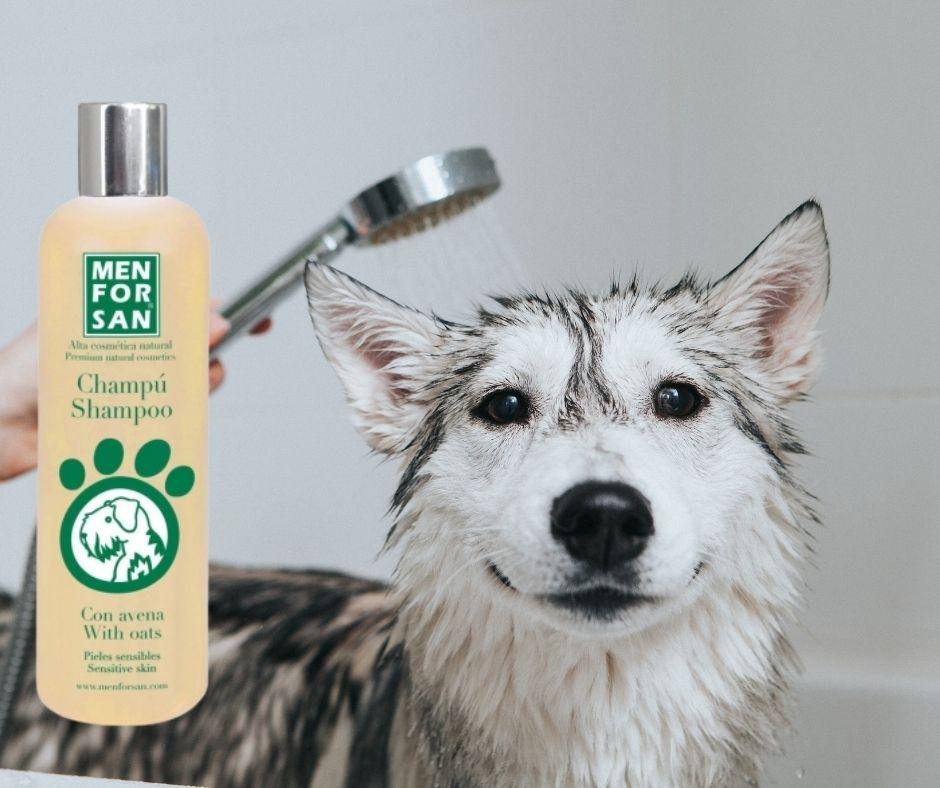 Champu para Perros cachorros Menforsan con Avena natural - Luna y Copito