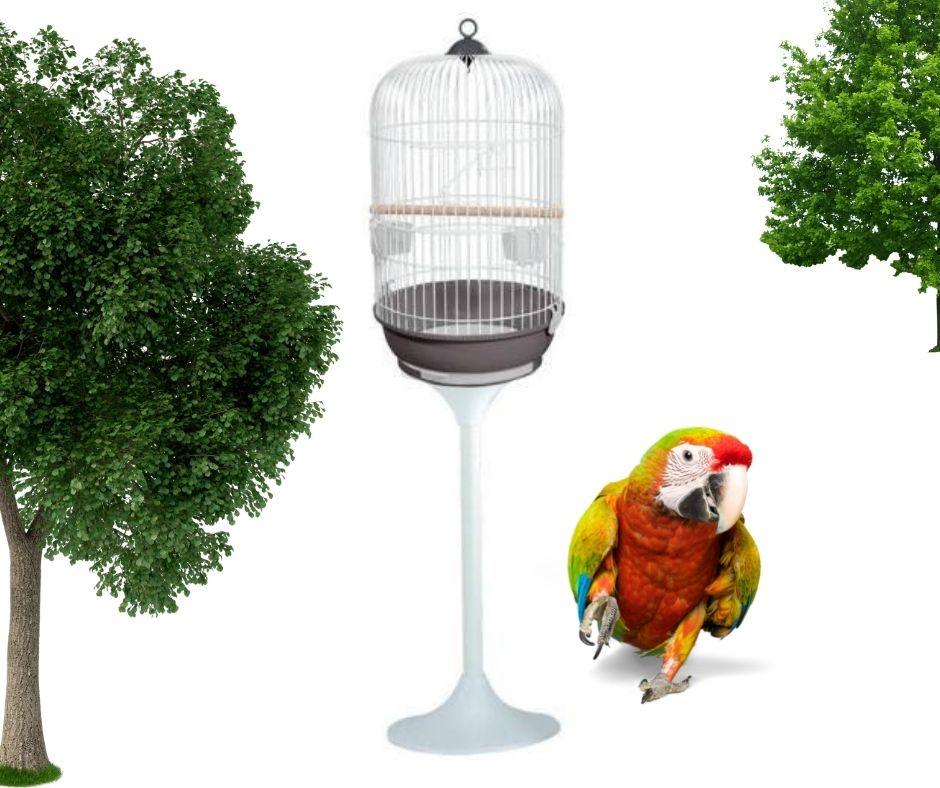 Jaula para Loros y Cotorras 810B de Voltrega + Pie - Luna y Copito