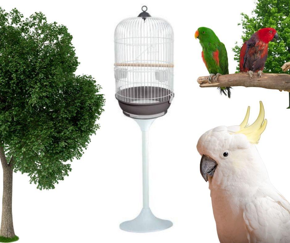 Jaula para Loros y Cotorras 810B de Voltrega + Pie - Luna y Copito