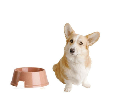 Plato para Perros redondo Nº 5 - Luna y Copito