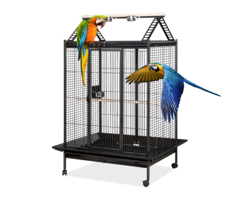 Jaula grande para Loros Voltregá 894 - Luna y Copito