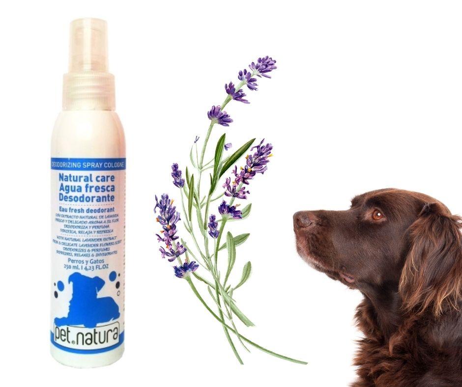 Colonia para Perros con aroma a Lavanda PetNatura - Luna y Copito