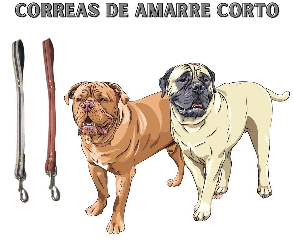 Correa para Perros grandes de amarre corto - Luna y Copito