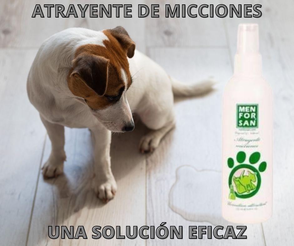 Atrayente de micciones Menforsan para Perros - Luna y Copito