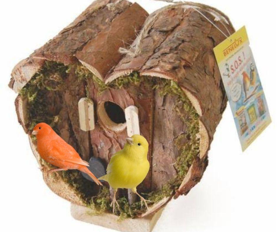 Nido para Canarios Naturaleza Corazón de Benelux - Luna y Copito