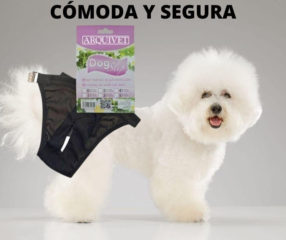 Bragas para Perras de Arquivet - Luna y Copito