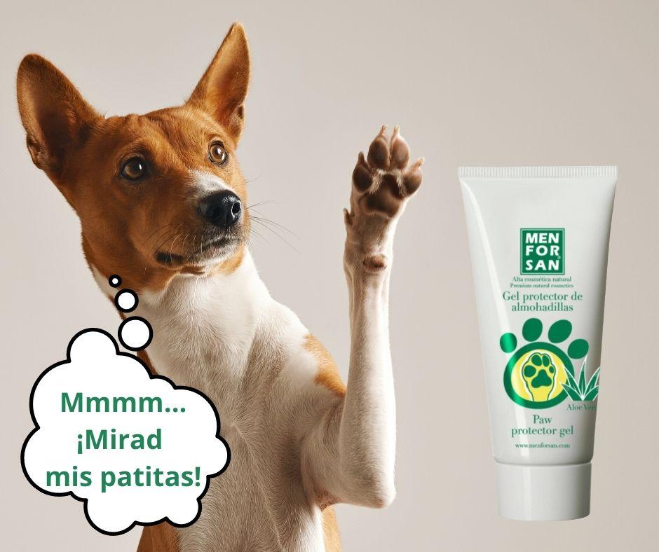 Menforsan Gel Protector de Almohadillas para perros - Luna y Copito