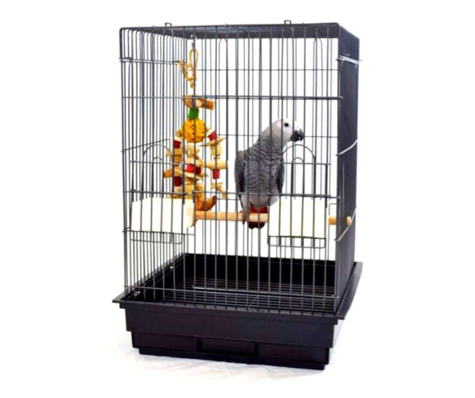Sun Parrots Jaula para Loros pequeños Basic - Luna y Copito