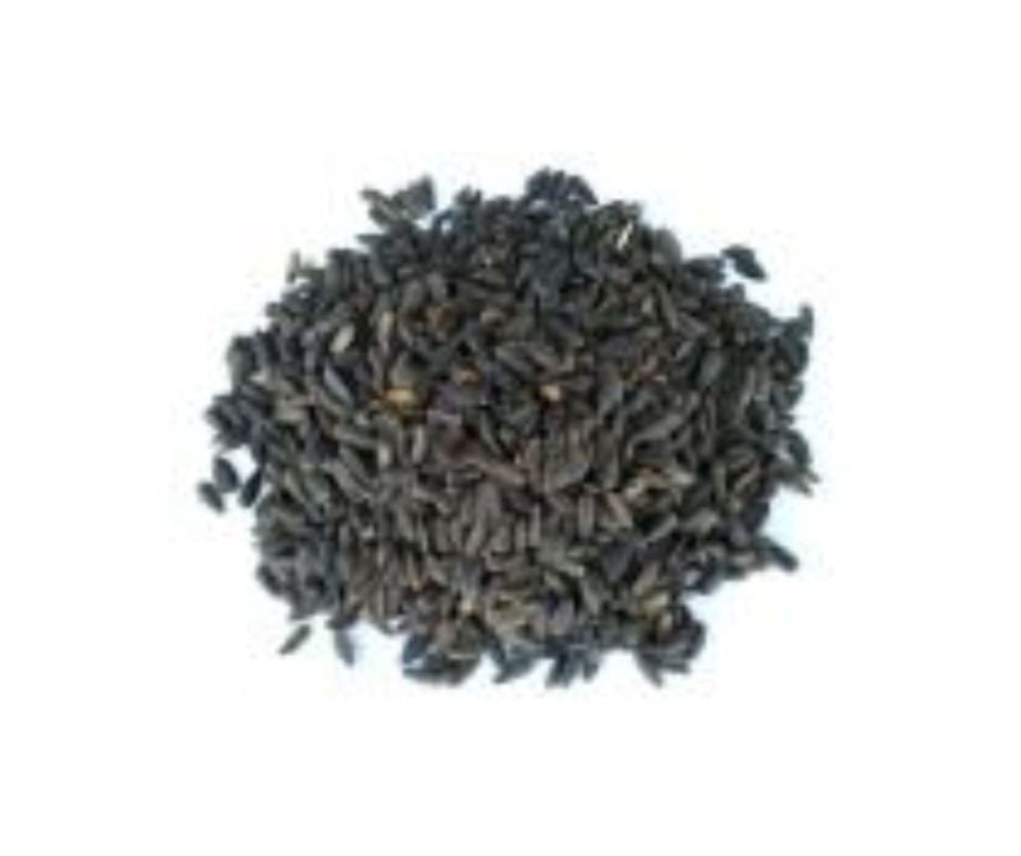 Pipas Micro Prodac Comida para Pájaros Silvestres - Luna y Copito