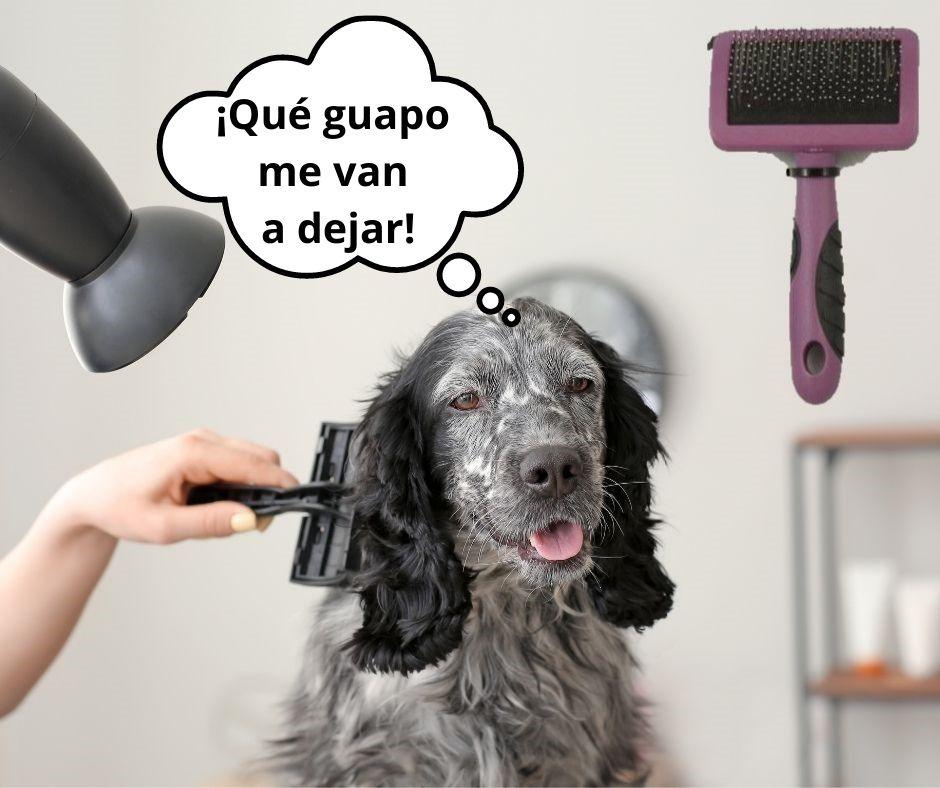 Cepillo Carda para Perros y Gatos Handyline - Luna y Copito