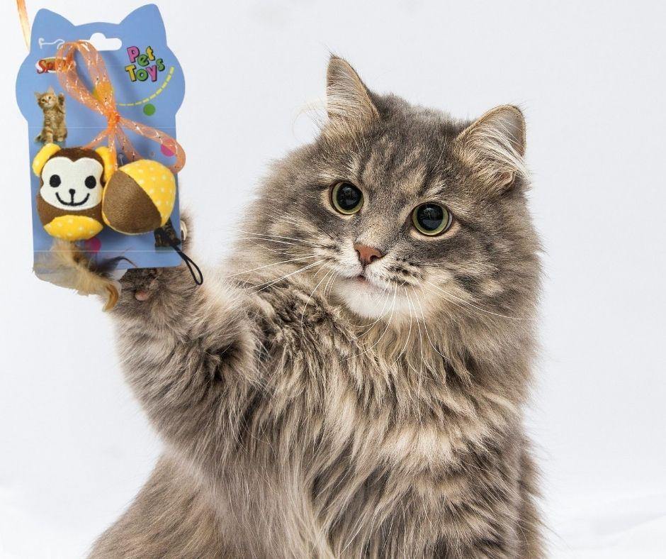Peluches Catnip para gatos MonkyBall de Pet Toys - Luna y Copito