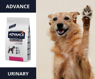Advance Urinary para Perros - Luna y Copito