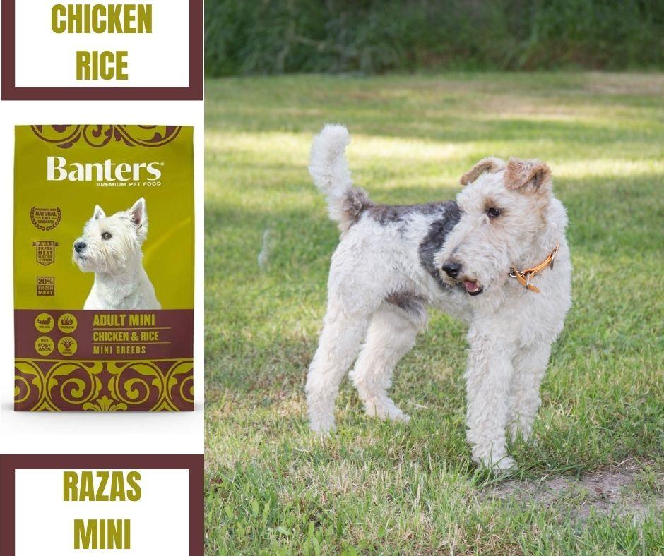 Pienso Perros Mini Banters Adult Mini Chicken and Rice - Luna y Copito