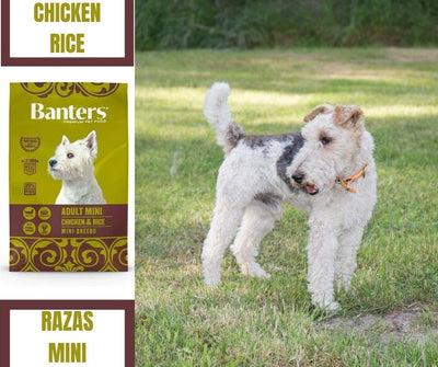 Pienso Perros Mini Banters Adult Mini Chicken and Rice - Luna y Copito