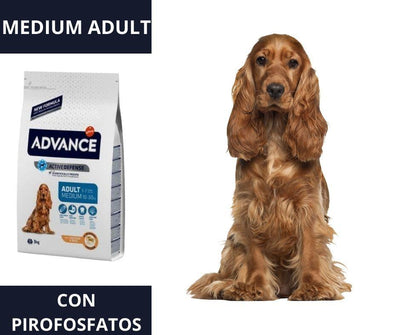 Advance Medium Adult para Perros - Luna y Copito