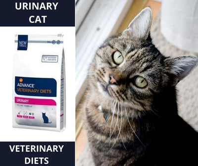 Advance Urinary para Gatos - Luna y Copito