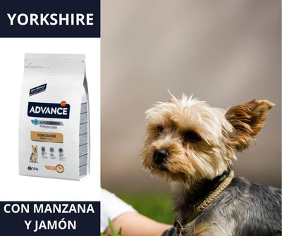 Advance Yorkshire Pienso para Perros - Luna y Copito