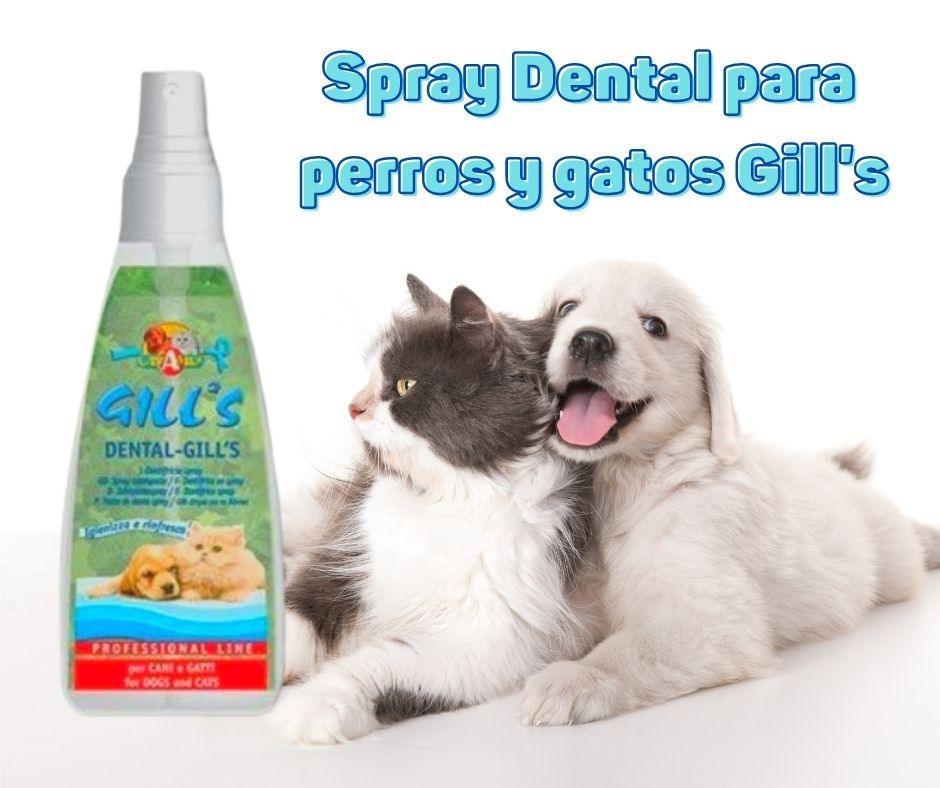 Spray Dental para Perros y Gatos Gill's - Luna y Copito