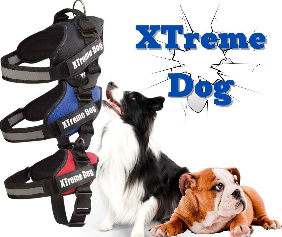 Arnés Anti tirones para Perros XtremeDog - Luna y Copito