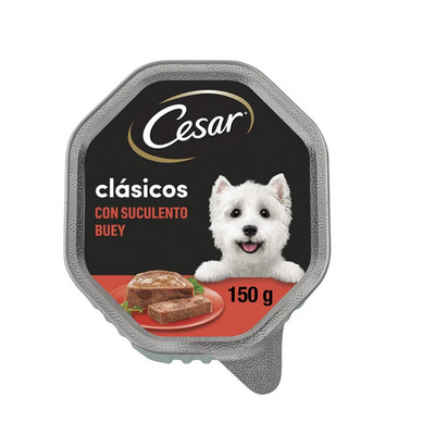 Cesar Buey Tarrina en Paté para Perros