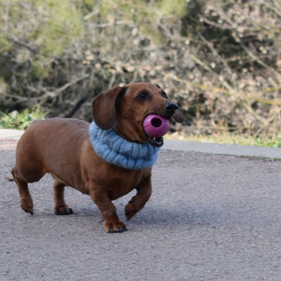 Dog Ball Pequeña Dureza Alta para perros