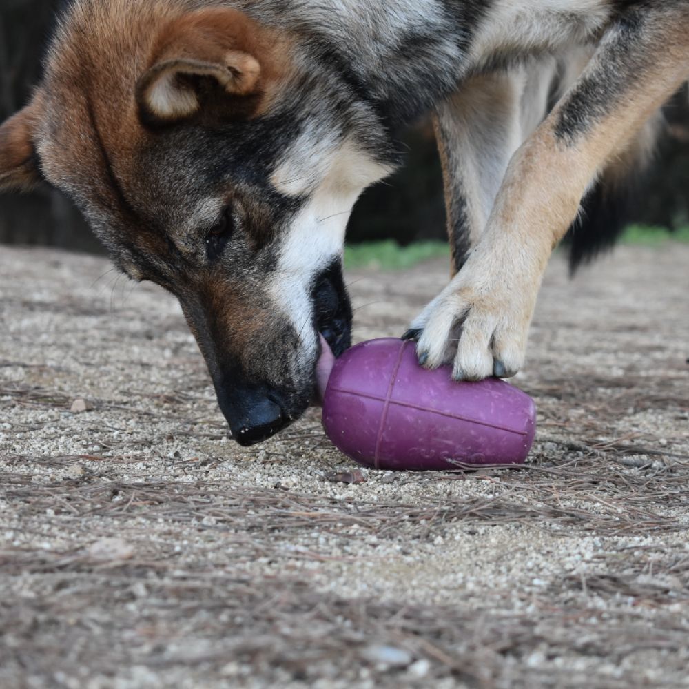 Conic Rellenable de Dureza Alta para perros Rucan