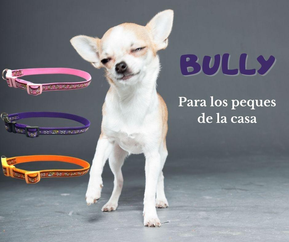 Collar para Perros pequeños Bully de SanDimas - Luna y Copito
