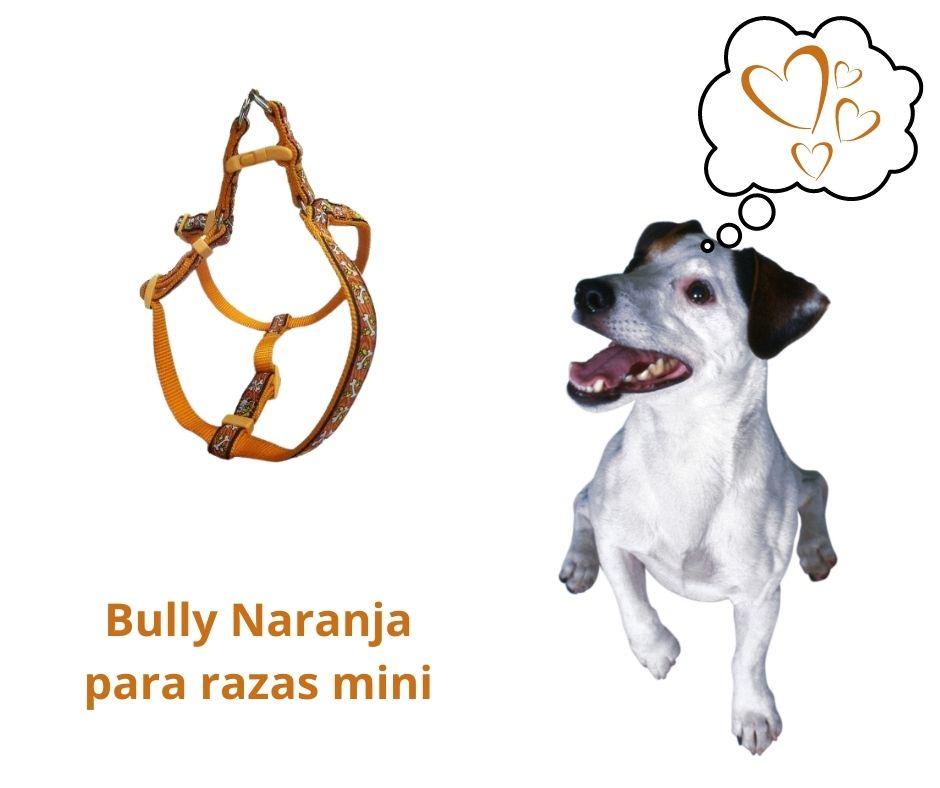 Arnes para Perros pequeños Bully Naranja. Diseño animado-Luna y Copito