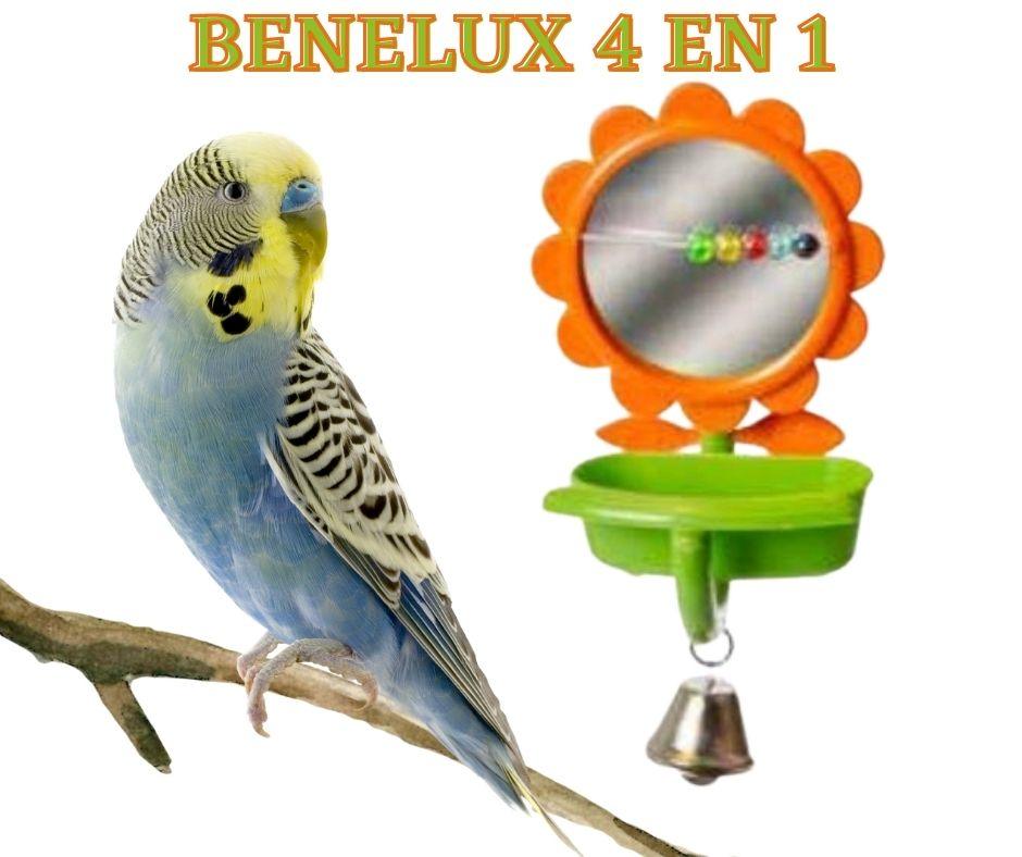 Espejo juguete para Pájaros Benelux 4 en 1 - Luna y Copito