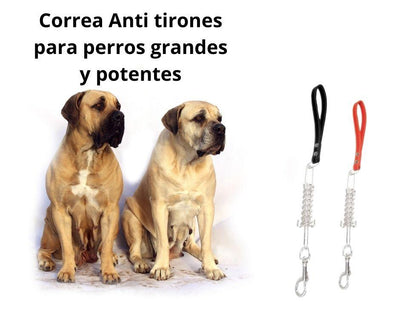 Correa Anti tirones para Perros grandes - Luna y Copito