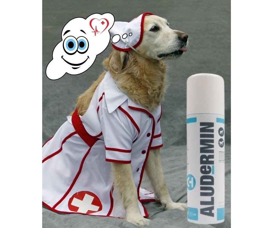 Spray Protector de heridas Aludermin - Luna y Copito