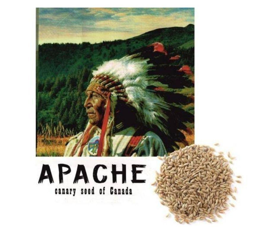Alpiste para Pájaros Canadá Apache - Luna y Copito