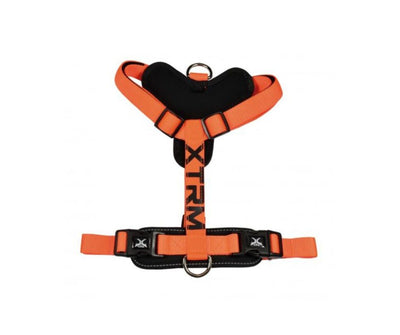 ARNES X-TRM Cronos Neon Flash