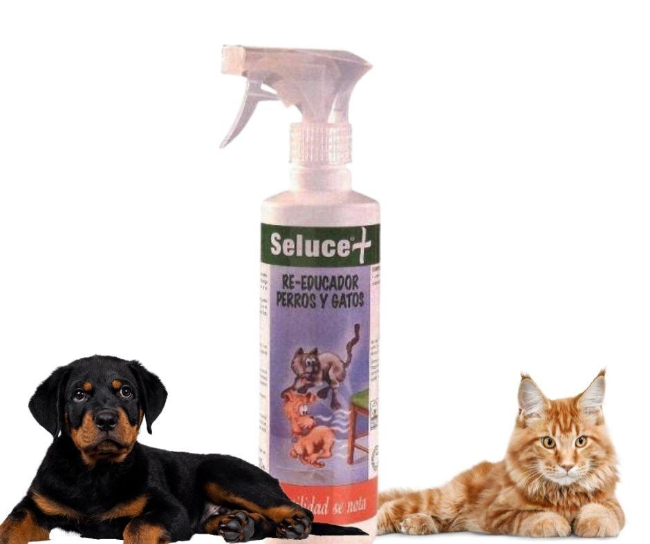 Reeducador para Perros y Gatos de Seluce - Luna y Copito