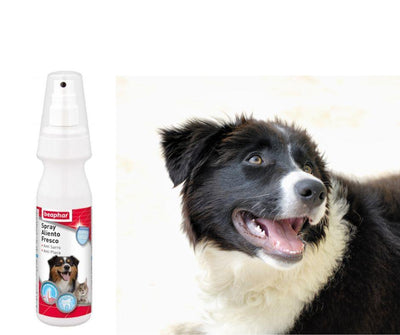 Spray dentífrico para Perros Beaphar - Luna y Copito