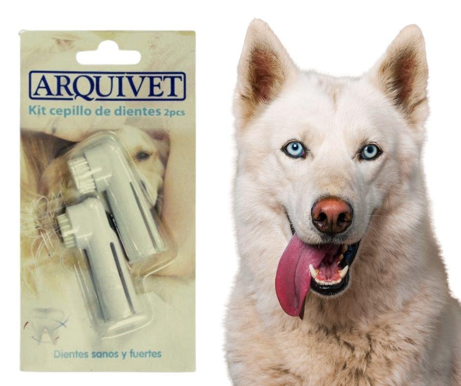 Cepillo Dental para Perros de Dedo Arquivet - Luna y Copito