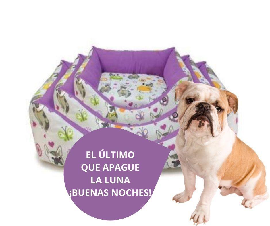 Cama Perro BullDog para Perros de Arquivet - Luna y Copito