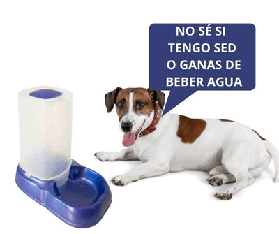 Dispensador de agua para Perros Arquivet - Luna y Copito