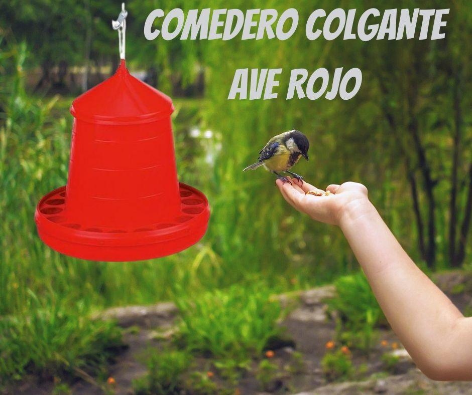 Comedero colgante para Aves "Ave Rojo" - Luna y Copito