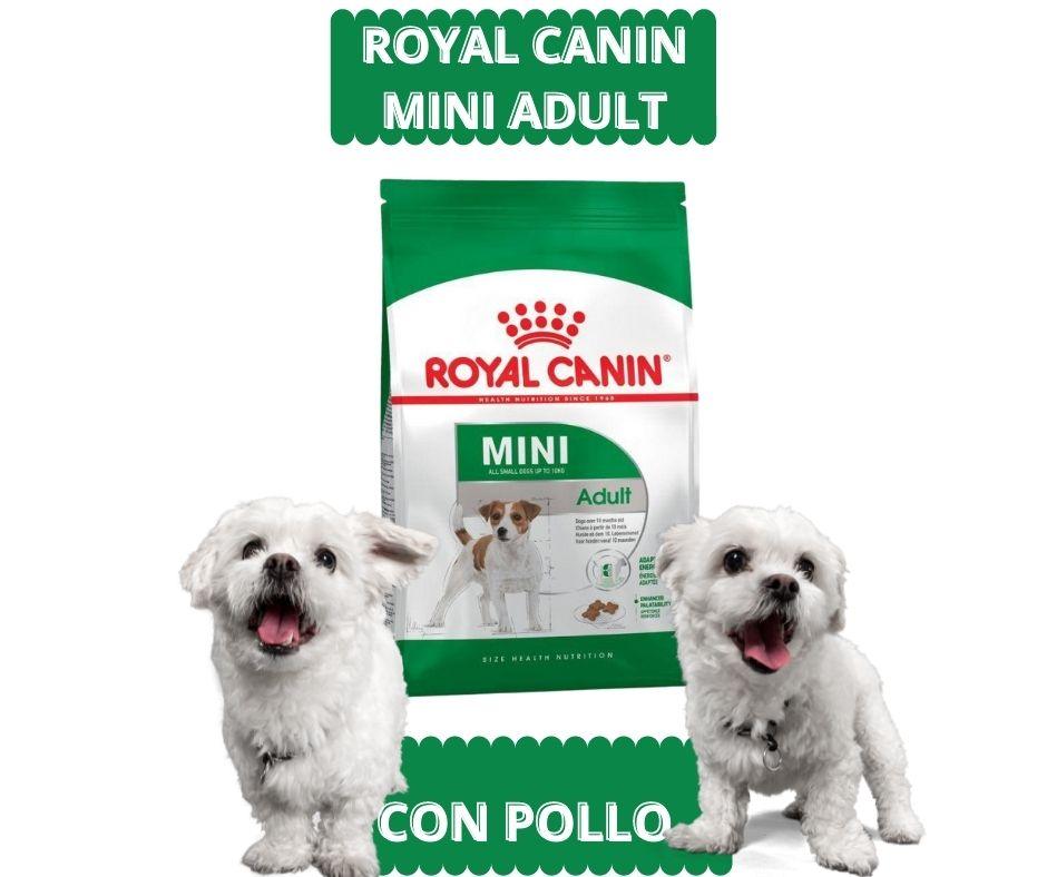 Royal Canin Mini Adult para Perros - Luna y Copito