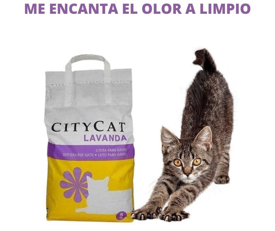 Arena Perfumada para Gatos CityCat - Luna y Copito
