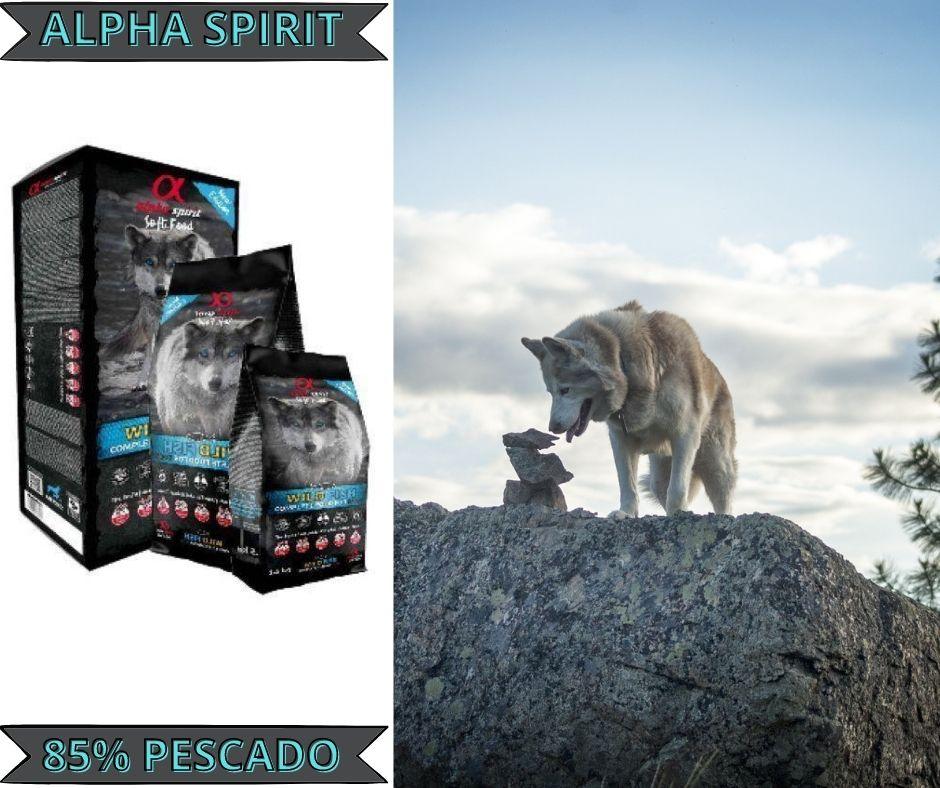 Alpha Spirit Pienso semihúmedo Pescado para perros