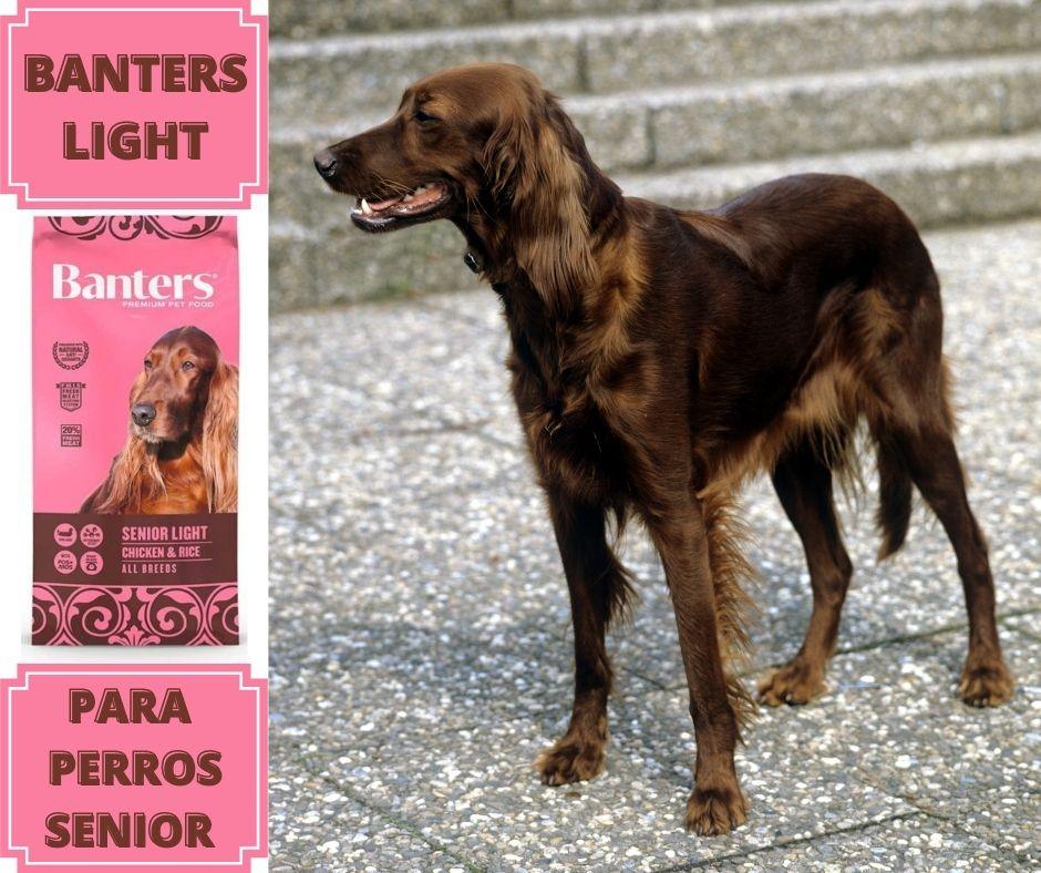 Pienso Banters Senior Light para Perros - Luna y Copito
