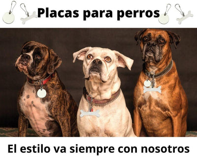 Placas para Perros identificativas - Luna y Copito