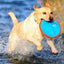 Frisbee para Perros Paraflight de Chuckit - Luna y Copito