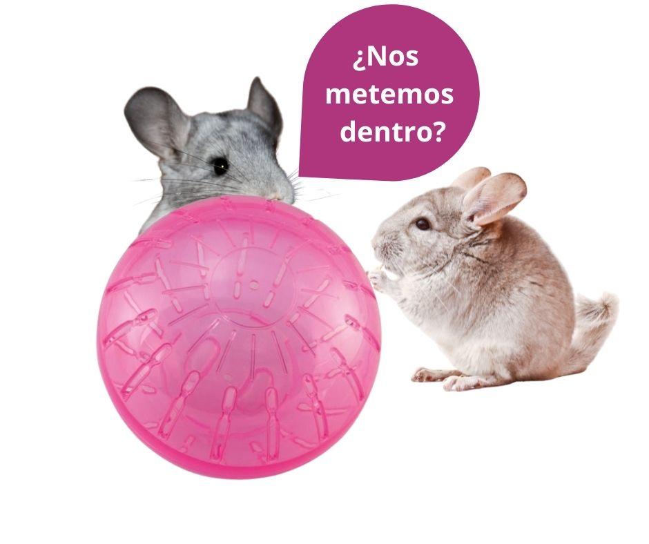 Bola para Roedores RodentBall - Luna y Copito