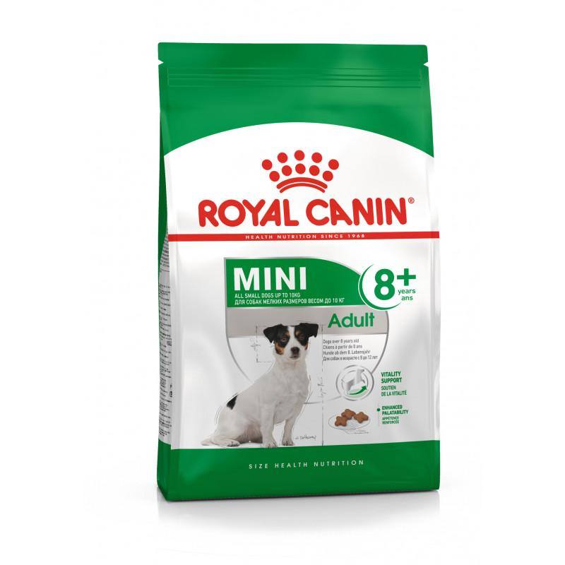 Royal Canin Mini Adult 8+ para Perros - Luna y Copito